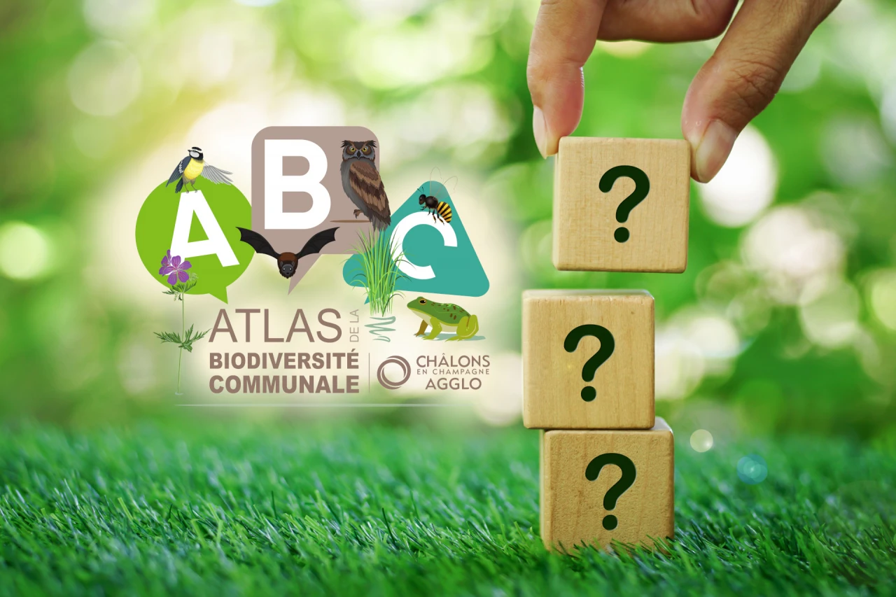 Quizz sur la Biodiversité locale !