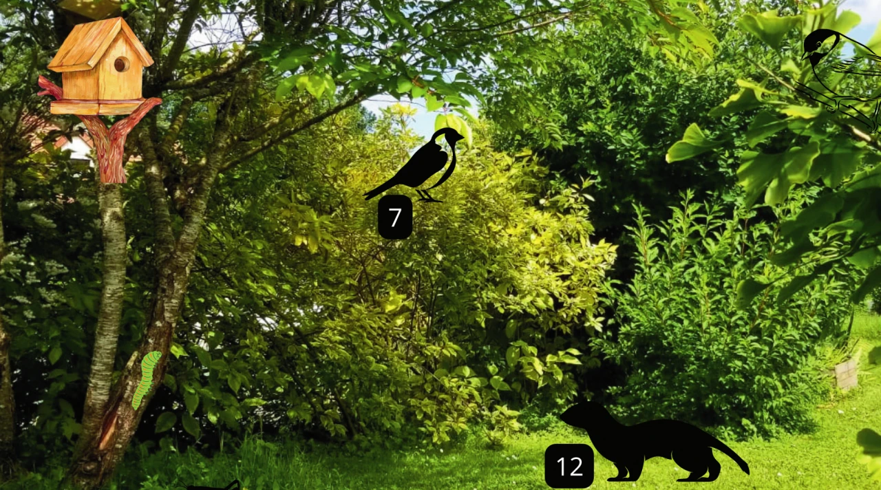 La biodiversité dans mon jardin