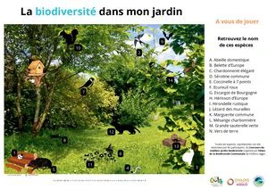 La biodiversité dans mon jardin