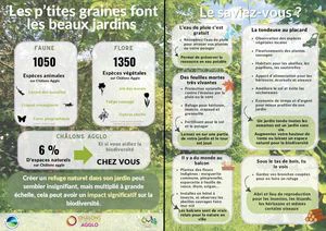 Les p’tites graines font les beaux jardins