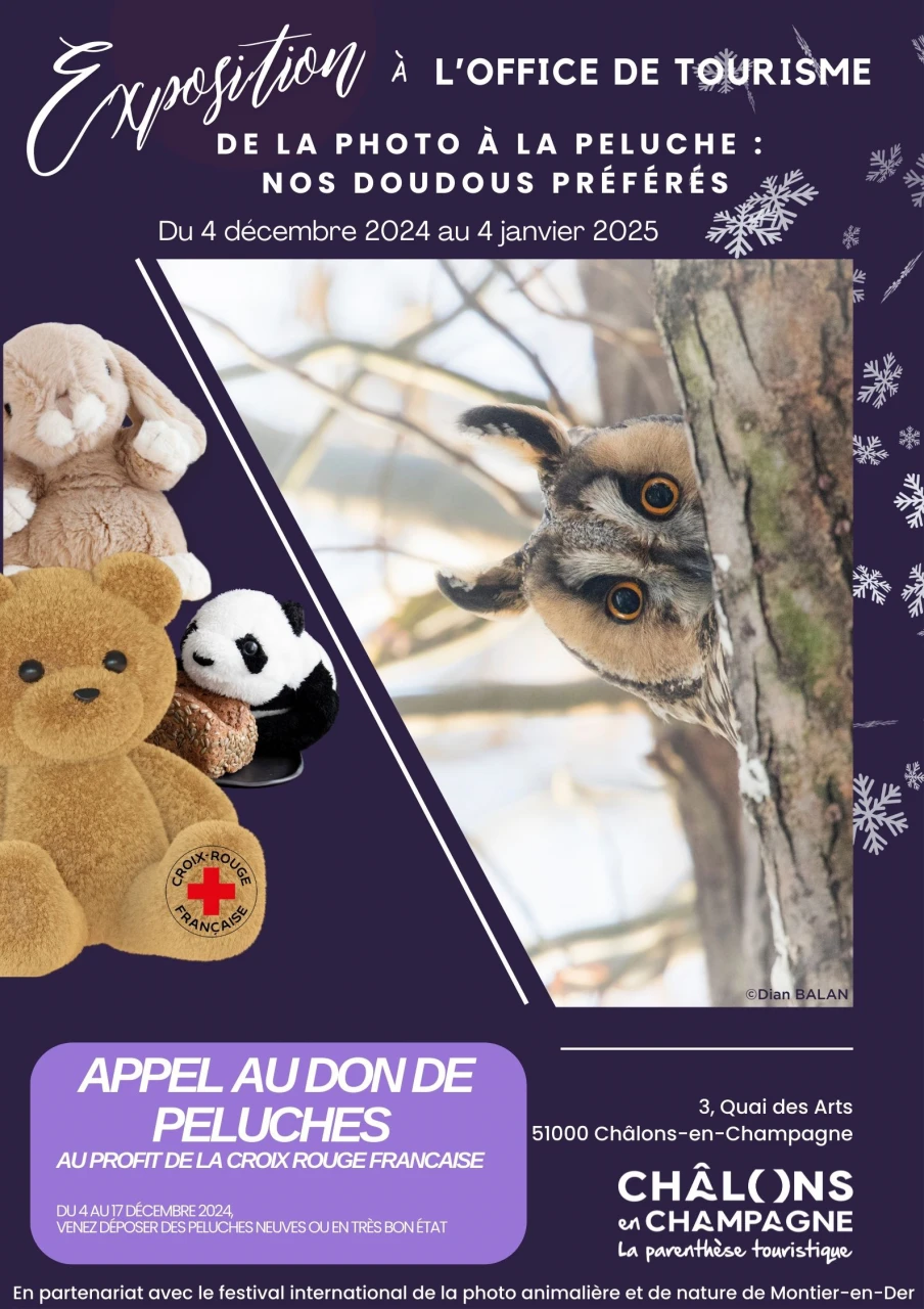 Exposition : De la photo à la peluche, nos doudous préférés